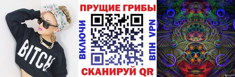Галлюциногенные грибы Cubensis  MEGA ONION  Яровое  где можно купить  